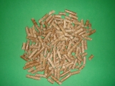 FogOne -premium-